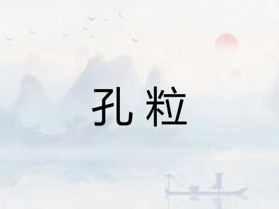 孔粒