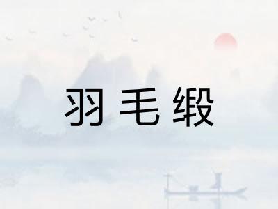 羽毛缎