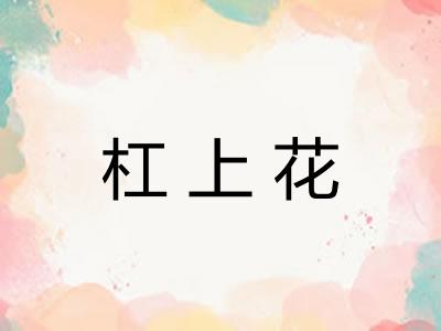 杠上花