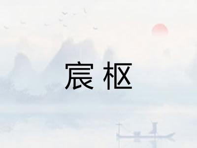 宸枢