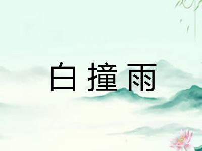 白撞雨