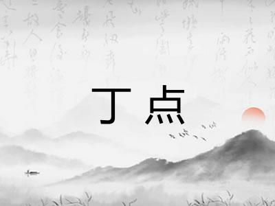 丁点